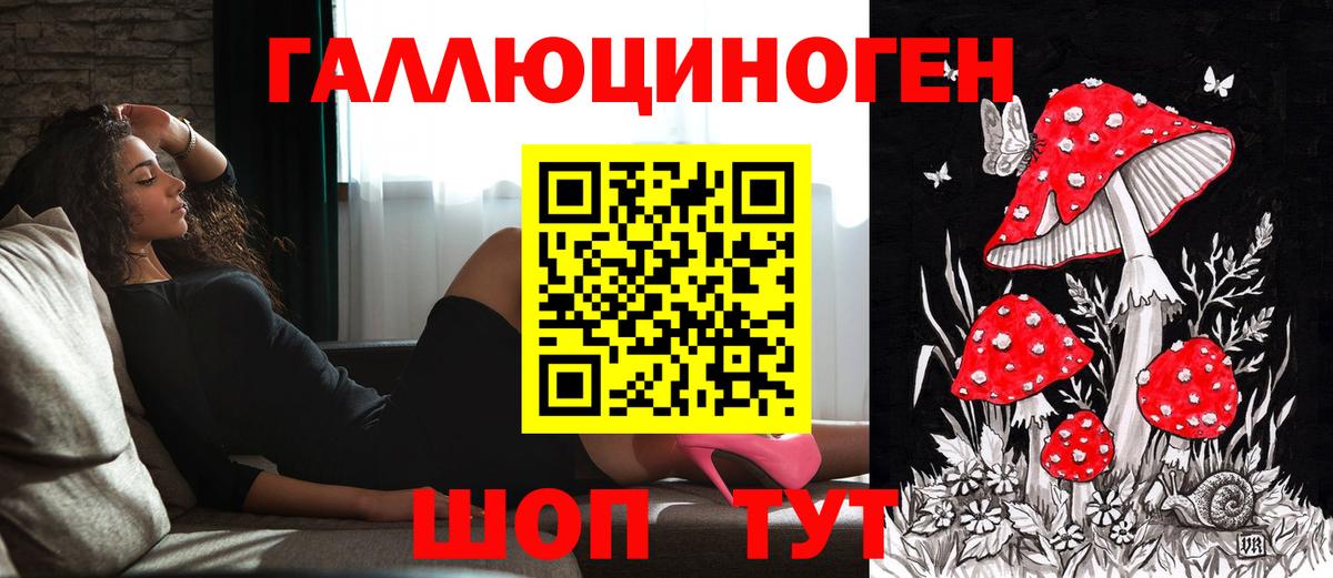 Дмитров  Псилоцибиновые грибы мухоморы  Вход с VPN 