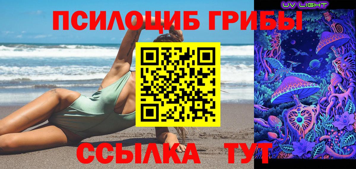 Галлюциногенные грибы GOLDEN TEACHER Дмитров
